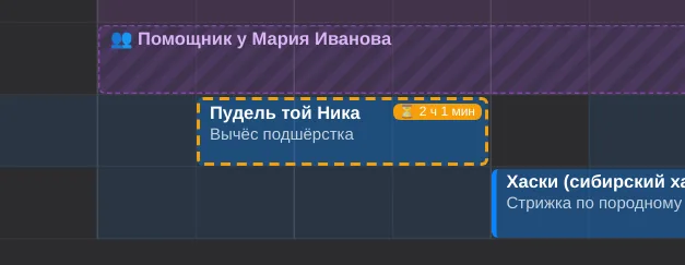 Предварительная бронь на карточке записи